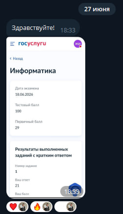 Подтверждение результата 100 баллов